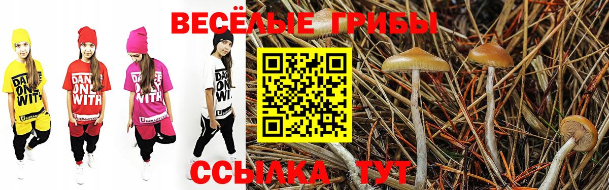 Галлюциногенные грибы Cubensis Советская Гавань
