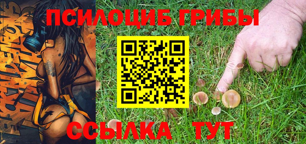 Галлюциногенные грибы MAGIC MUSHROOMS  Вход с VPN  Советская Гавань 